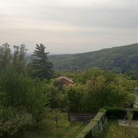 Aleksandar Vila BR Vrdnik Exterior foto