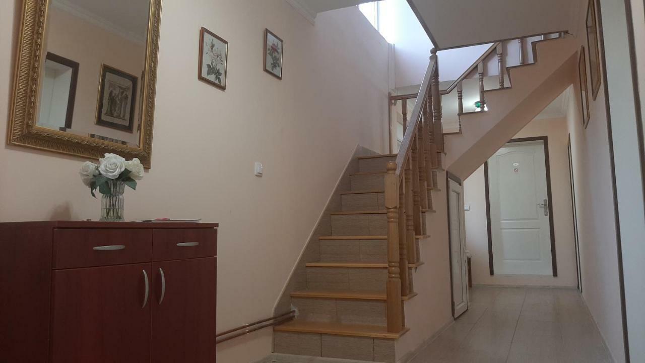 Aleksandar Vila BR Vrdnik Exterior foto